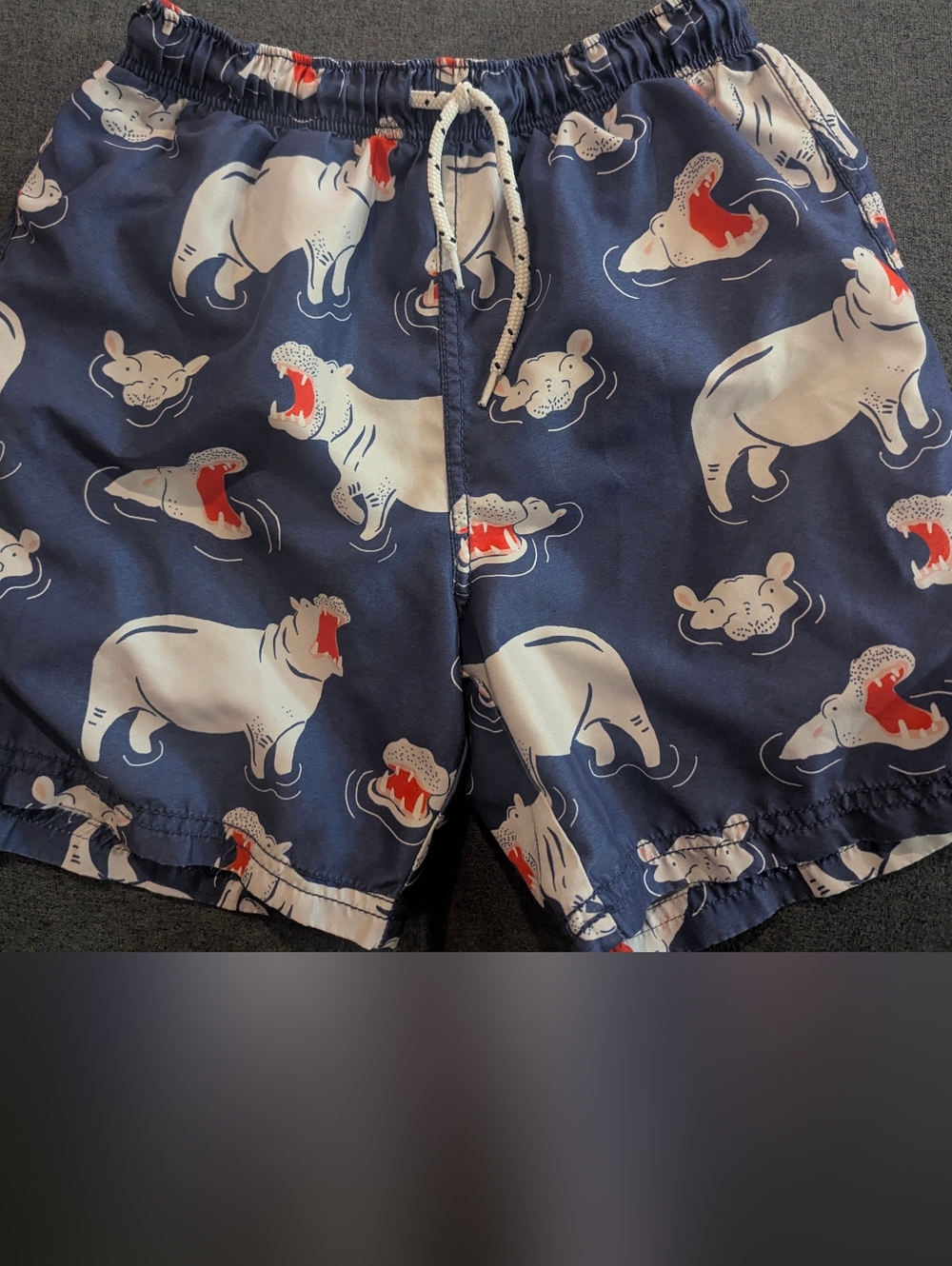 Mini Boden Hippo Swim Shorts